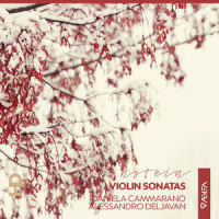 No. 1, Allegro appassionato_Daniela Cammarano,Alessandro Deljavan