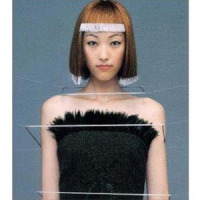 Butterfly_TOWA TEI