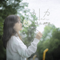 引力_音阙诗听,王梓钰