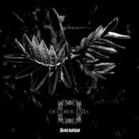 VIII_OCTOBER FALLS