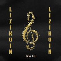 The Wave (feat. Janis Martin)_Liziba,Janis Martin