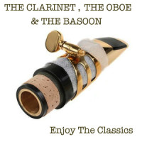 Concerto for Clarinet and Bassoon in B Flat Mayotte: 3rd Mov.ement. Rondo_The Budnik Chambers Orchestra,Carl Stamitz,Slawomir Michalsky