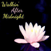 The Tennessee Waltz_Patti Page,Jimmy Wakely