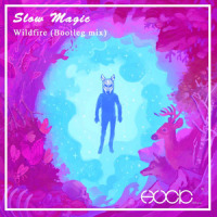 Wildfire_DJ Huck,Slow Magic