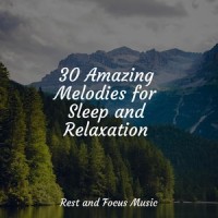 Swaying Grass_Musica para Massagem Especialistas,Tonal Meditation Collective,Spa