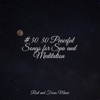 Sound of Sleeping_Chakra Balancing Sound Therapy,Pink Noise,Musique Zen Garden