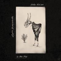 In the Sky(feat. Nebu Kiniza)_Ryan Hemsworth