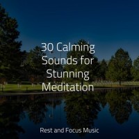 Heavenly Cloud_Relaxing Nature Music,Entspannungsmusik Meer,Spa