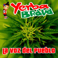 Todos Te Conocen_Yerba Brava