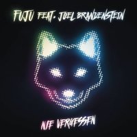 Nie Vergessen_Fuju,Joel Brandenstein
