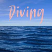 DIVING_Haven,Jaeman Park
