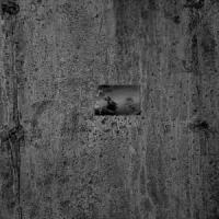 Serpents_Ian Marshall