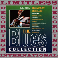 Don't Break Your Promise_B.B. King