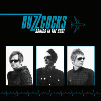 Everything Is Wrong_Buzzcocks