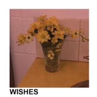 Worth Living_High Sunn