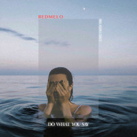 Do What You Say_Redmelo,Inna Vision,Gonzo