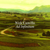 Aeroplane_Nick Camillo