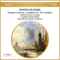 I. Allegro_Academia Montis Regalis,Alessandro de Marchi,Gabriele Cassone,Franz Joseph Haydn
