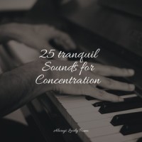 Wonderful Harmonies_Piano Pianissimo,Relajación Piano,Baby Sleep Through the Night