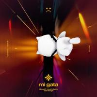 mi gata - slowed + reverb_Slo,Twilight,Tazzy