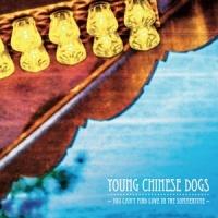 You Can't Find Love in the Summertime_Young Chinese Dogs