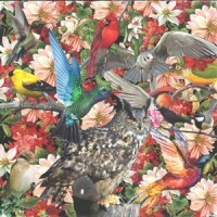 AUDUBON_BEN BEAL