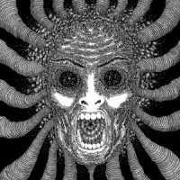 Diddy Wah Diddy_Ty Segall