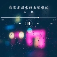 我没有刻意的去装难过_王极