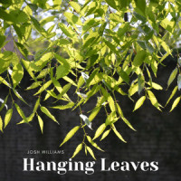 Hanging Leaves_Josh Williams