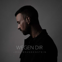 Wegen Dir_Joel Brandenstein
