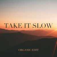 Take It Slow (Organic Edit)_Michael Lane
