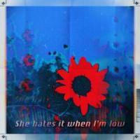 She hates it when I'm low(feat. Good Riddance)_Skylar Cruz,Good Riddance