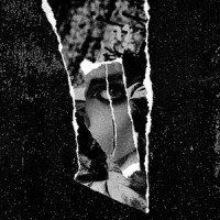 Common Coffin_Forever Grey