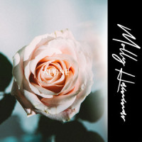 Alone_Molly Hammar,Chiara Hunter,Ella Eyre,Henri Salonon