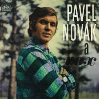 Tak se vdávej_Pavel Novák,Vox