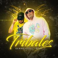 Tribales(feat. Deus)_Melodiozo,dEUS