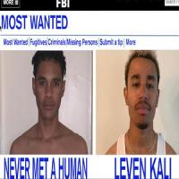 Inconvenience(feat. Leven Kali)_Never Met a Human,Leven Kali