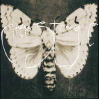 Lindsay's Trachea_Cinema Strange