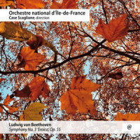 Symphony No. 3 in E-Flat Major, Op. 55 "Eroica": IV. Finale (Live)_Case Scaglione,Orchestre national d'île-de-France