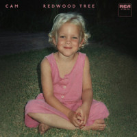 Redwood Tree_Cam