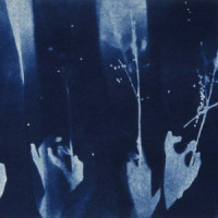 blue_Luminate
