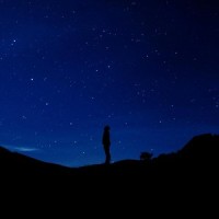 Searching_Flipside