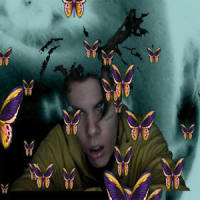 Heaven Part 2_Nascar Aloe