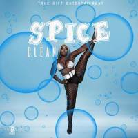 Clean_Spice