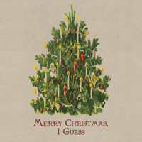 Merry Christmas, I Guess_Anthony D'Amato