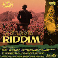 Hold Firm_Collie Buddz