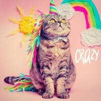 Crazy_Anthony Lazaro