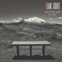 Into The Void(feat. Assemblage 23)_BlakLight,Assemblage 23,Inside Out Assemblage 23