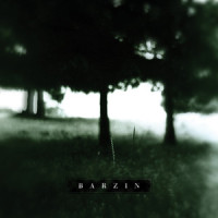 Cruel Sea_Barzin