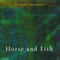 O Nome Dela_Vinicius Cantuaria
